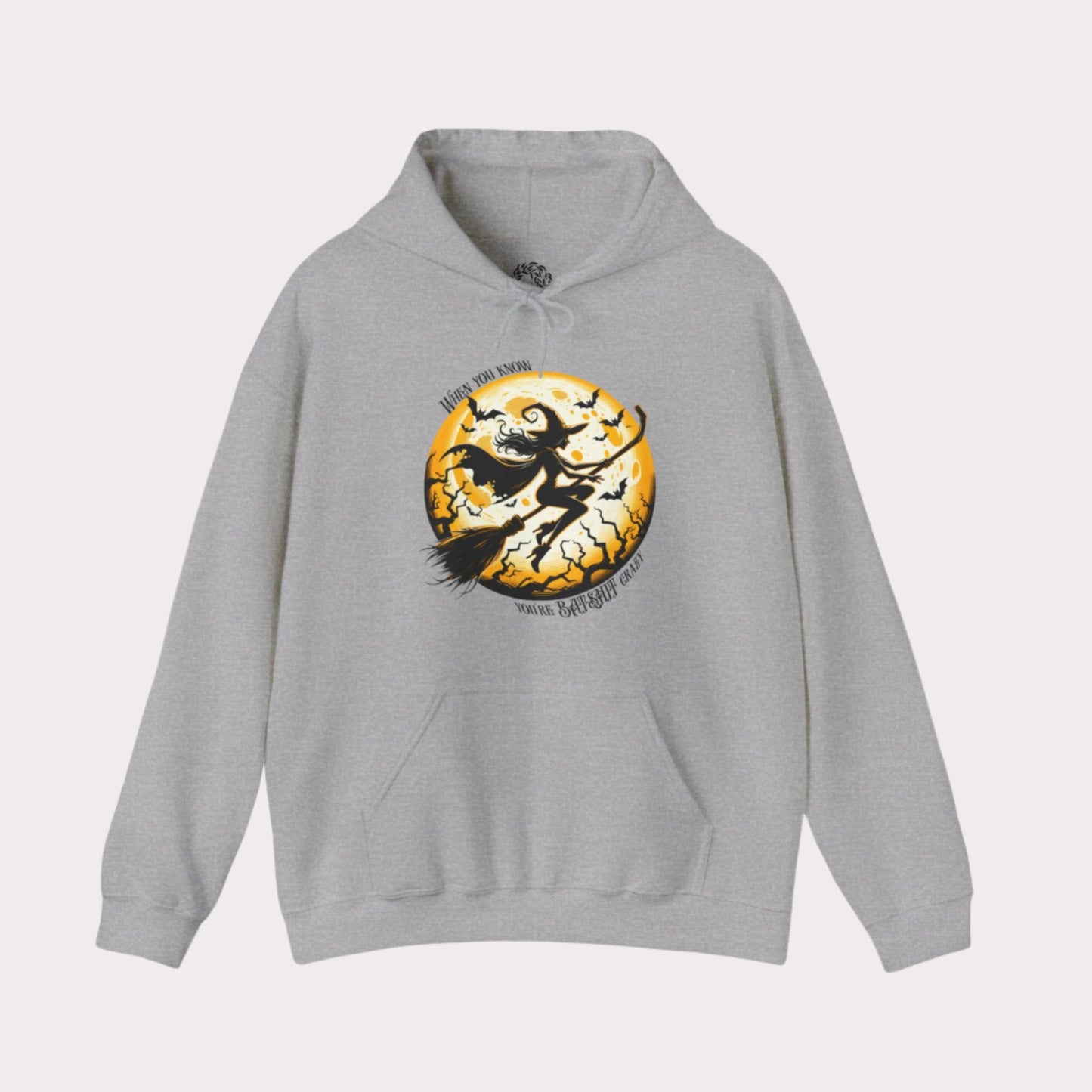'When You Know You're Batshit Crazy' Flying Witch Graphic Unisex Heavy Blend™ Hooded Sweatshirt